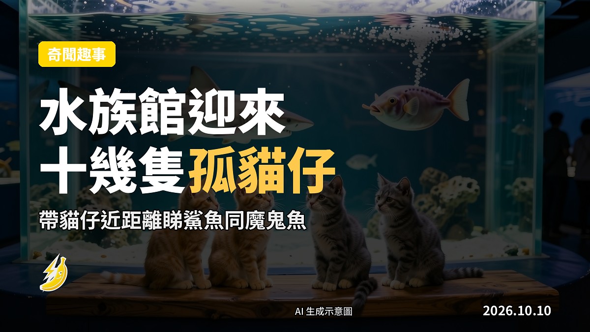 水族館內猫仔喺魚缸前參覲