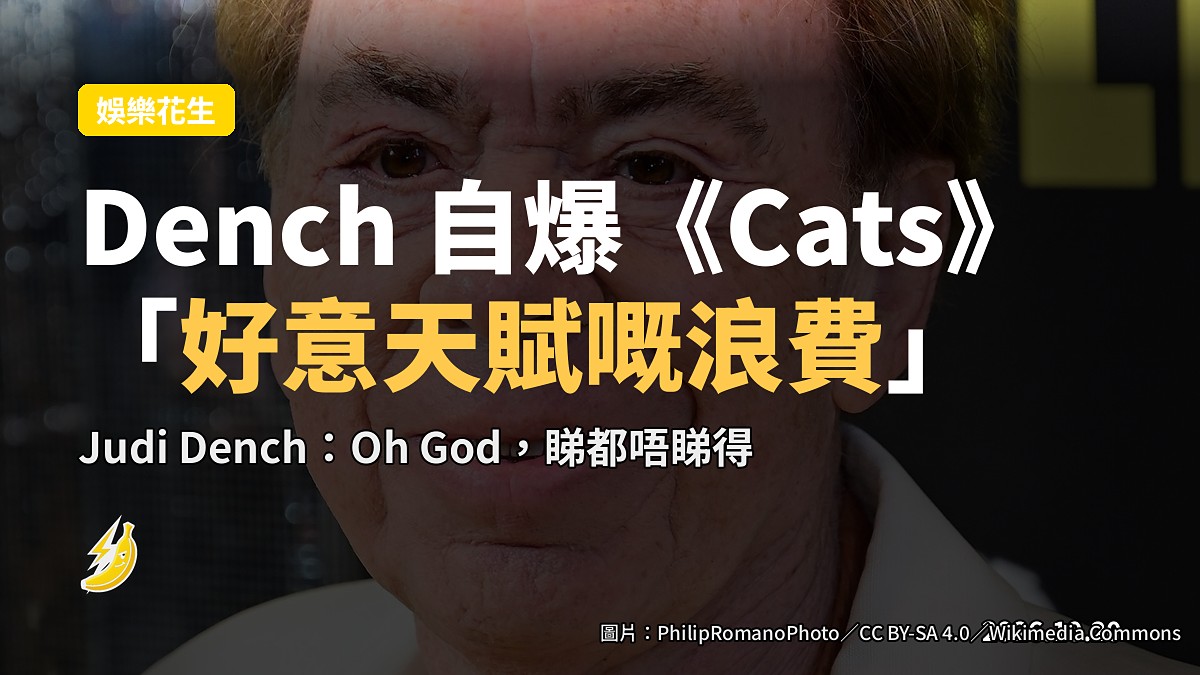 示意圖:一隻貓坐喺一疊舊劇本上,背景係片廠佈景