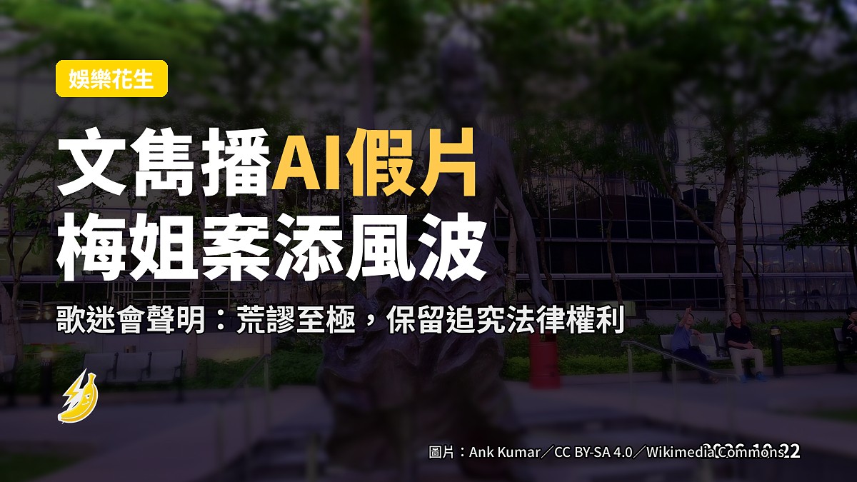梅艷芳相關資料圖片