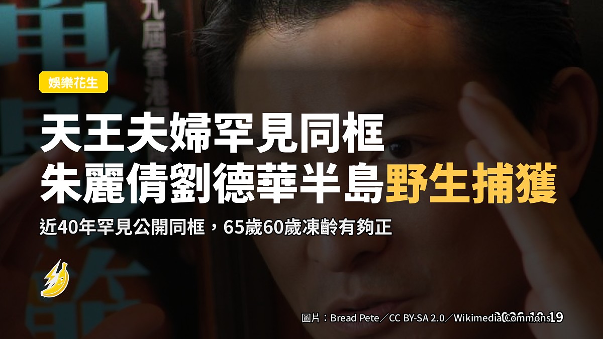天王都係要行半島:劉德華朱麗倩罕見同框被野生捕獲