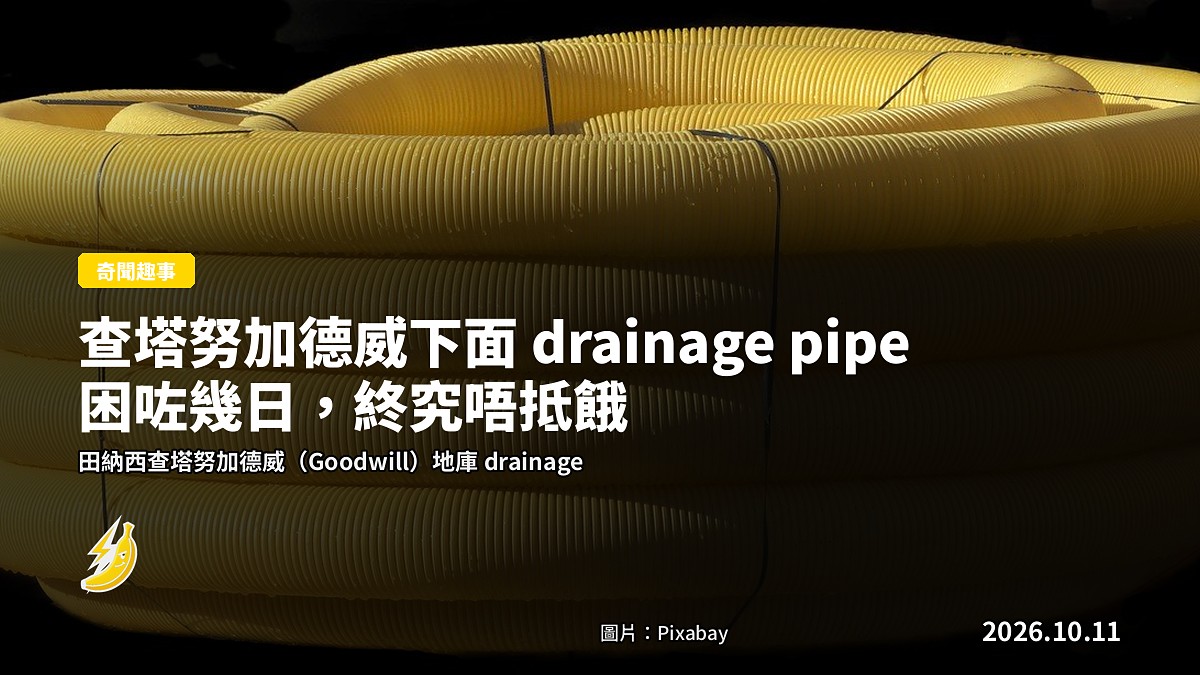 示意圖：舊物二手店地下 drainage pipe 入面一隻狗仔，救援隊正將佢救出。