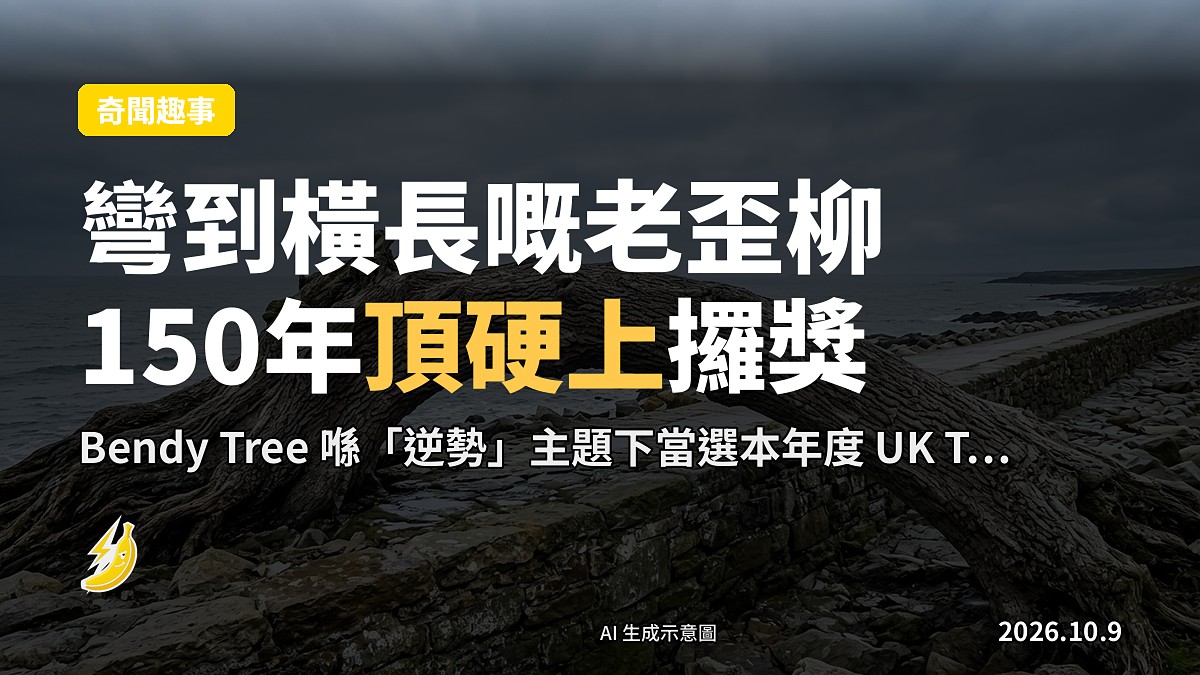 北愛爾蘭 Newcastle 海濱步道上一棵近乎橫向生長嘅古老 wych elm，示意圖。