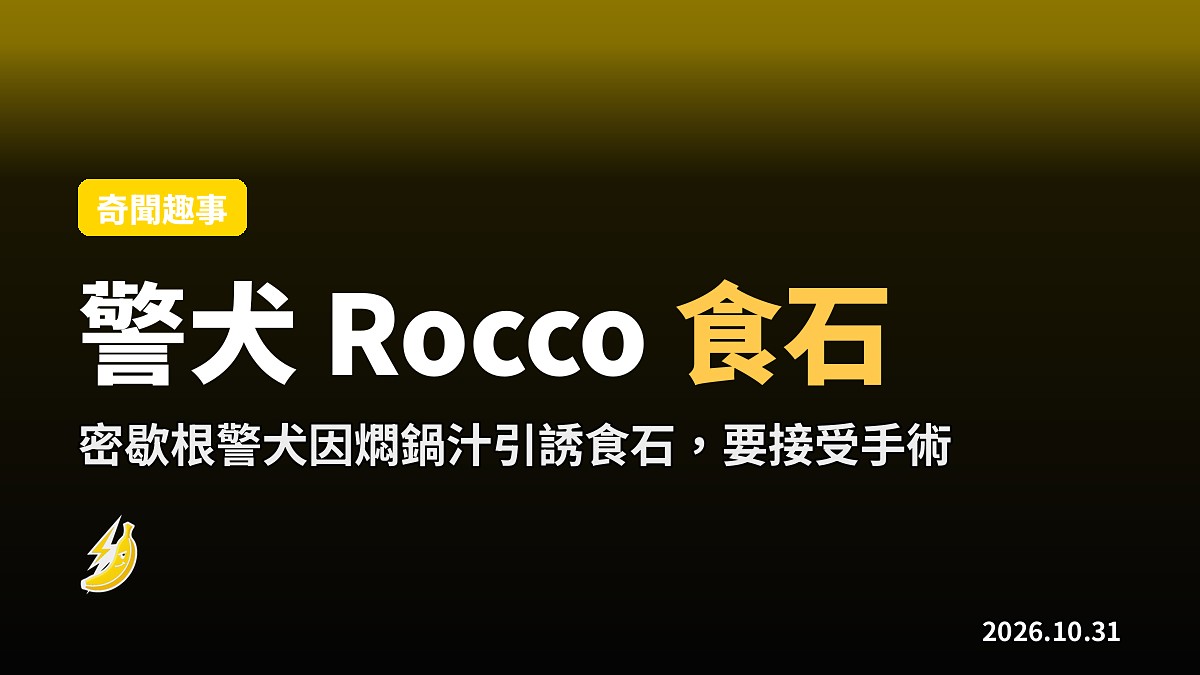密歇根警犬 Rocco 聞住燜鍋汁食石，食到要開刀