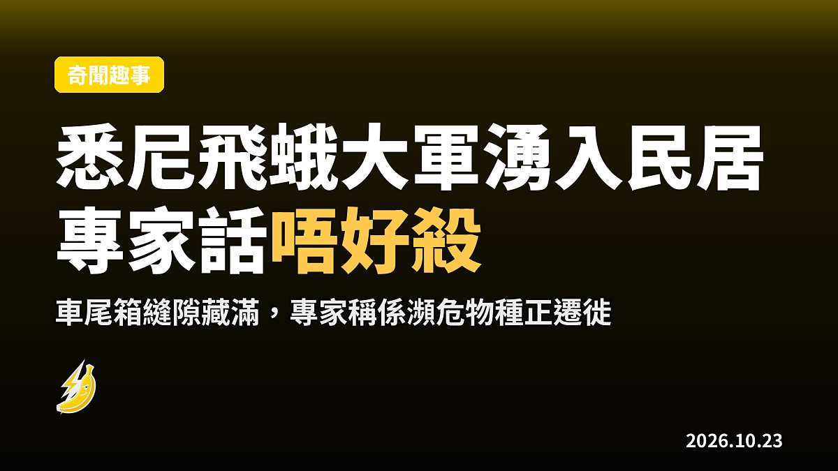 悉尼街坊車尾箱藏滿飛蛾 專家話唔好殺先係正途
