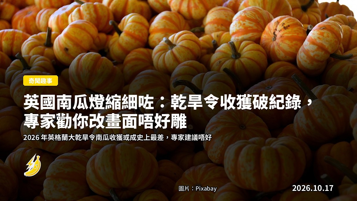 一個畫咗鬼面嘅細南瓜擺喺窗台，後面係乾裂嘅泥土，示意今年英國南瓜細細小小，改畫面唔使雕。