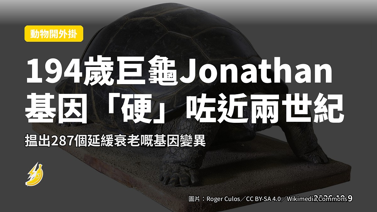 一隻巨型烏龜喺草地上緩慢行走(示意圖)