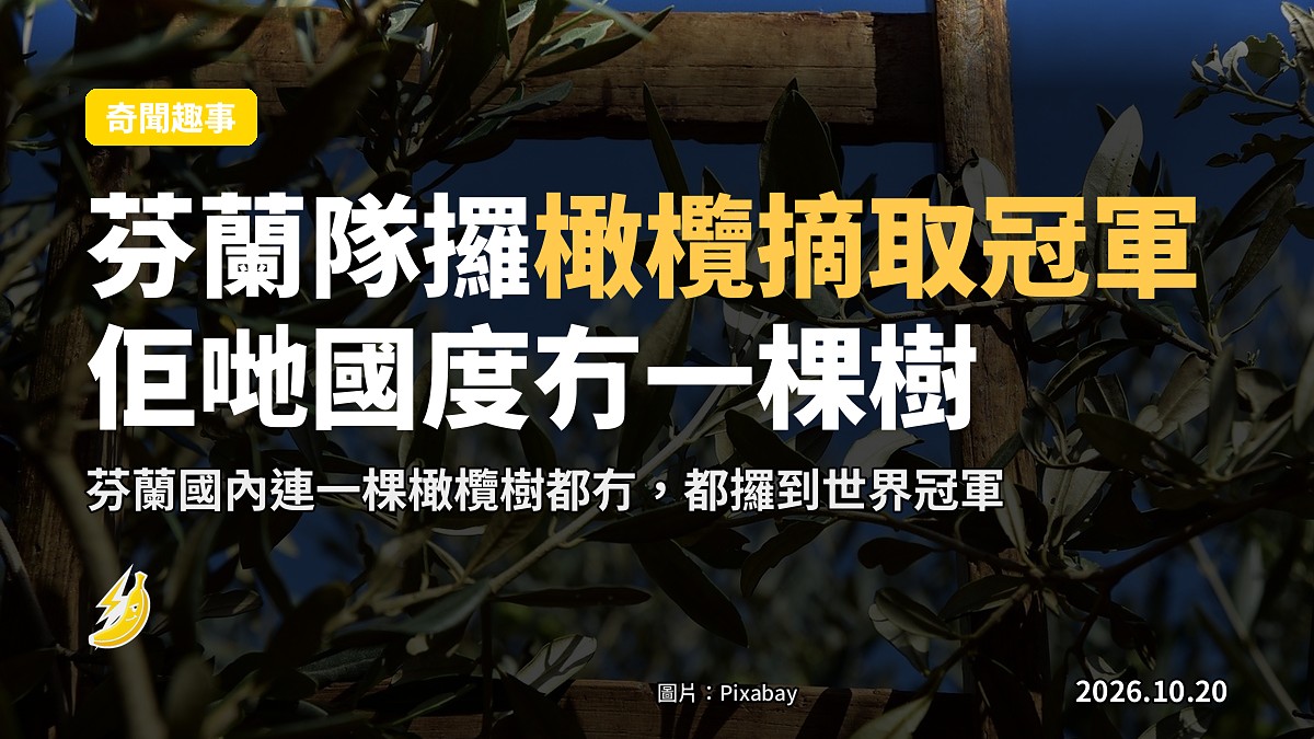 芬蘭隊喺克羅埃西亞世界橄欖摘取大賽攞冠軍，佢哋國內一棵橄欖樹都冇