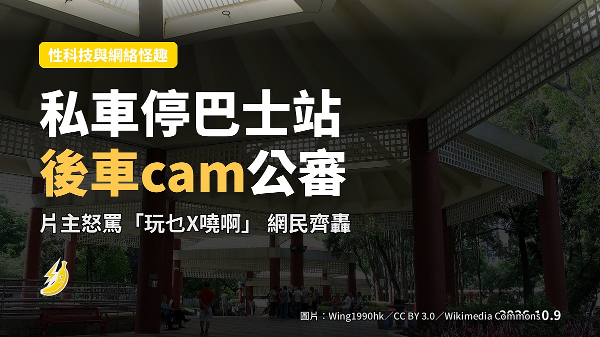 屯門巴士站行人排長龍，前方有一輛紫色私家車停泊（示意圖，無人可見）