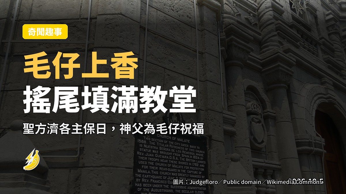 馬尼拉 Malate 教堂聖堂入面，毛仔乖乖坐喺教友膝上接受祝福（示意圖）
