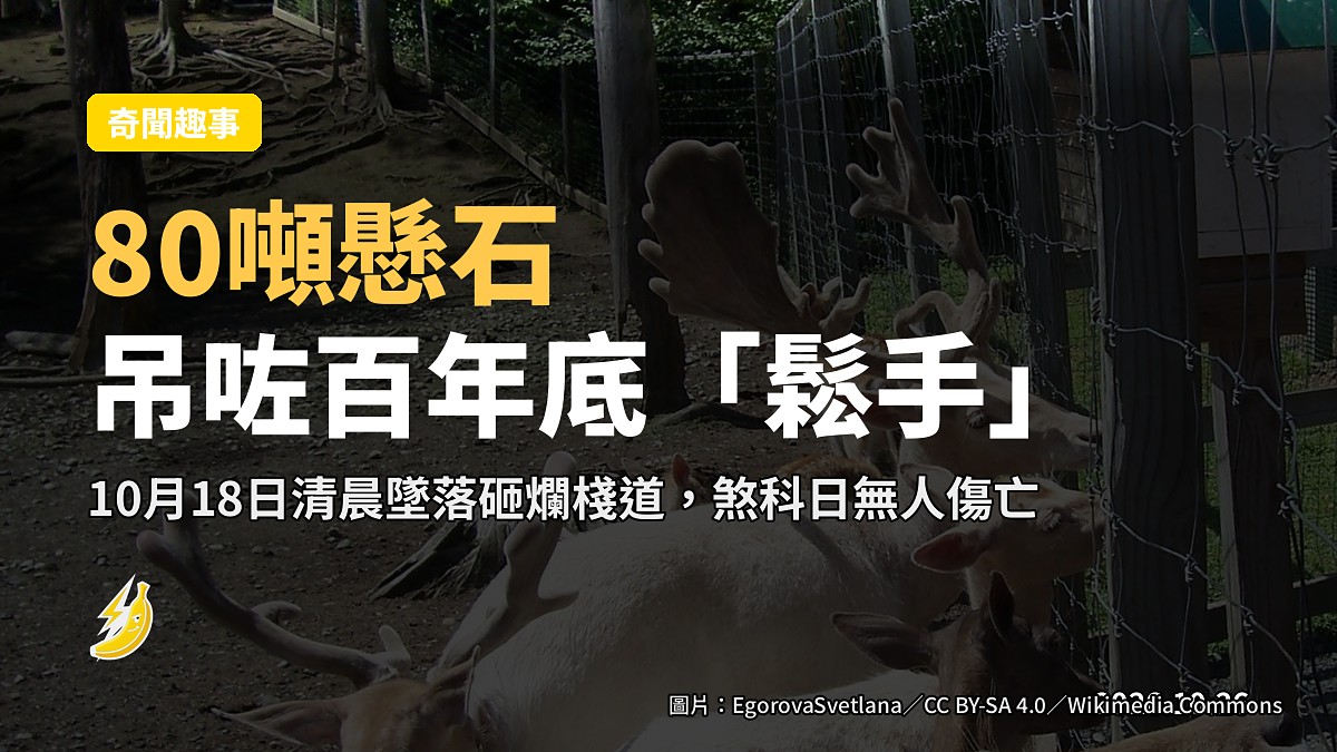 80噸「懸石」吊咗百年底，終於「鬆手」砸爛美國公園棧道