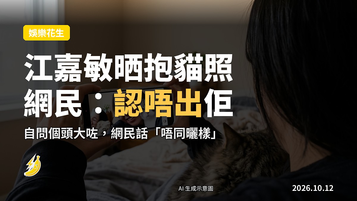 一人喺室内抱緊一隻灰色幼貓，自然光線，柔和暖色調（示意圖）