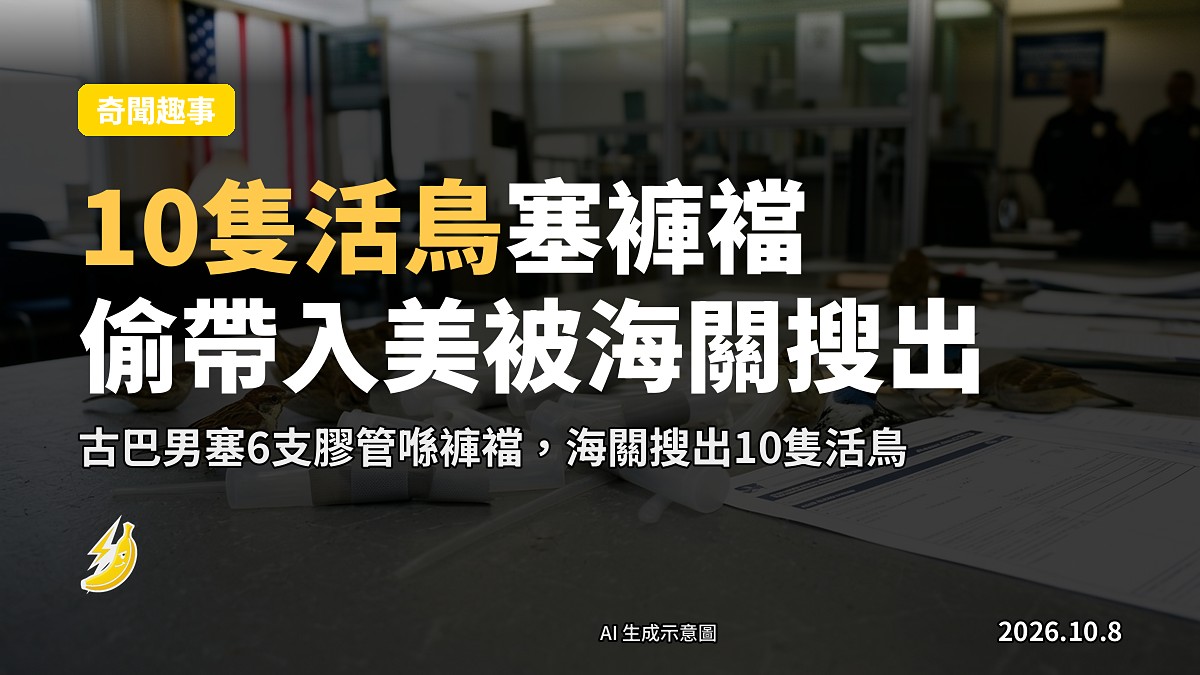 海關檢查台上一件褲頭，褲襠位置縫有以膠帶包好嘅塑膠管（示意圖）