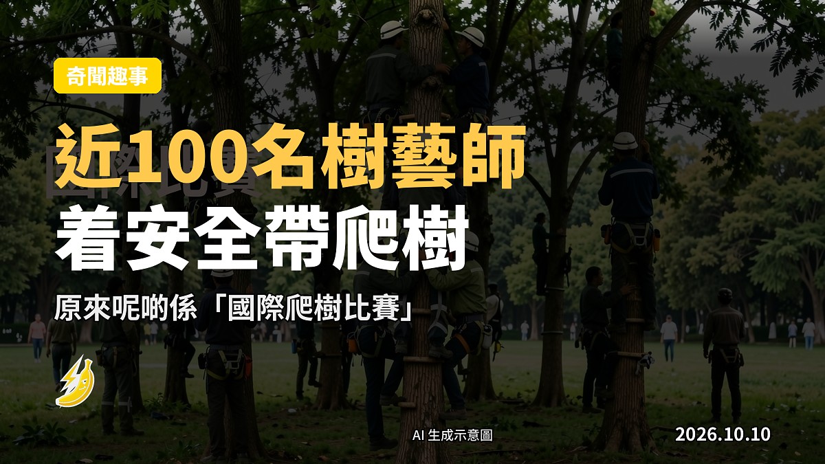 戴安全帽同綁安全帶嘅樹藝師喺公園爬樹（示意圖）