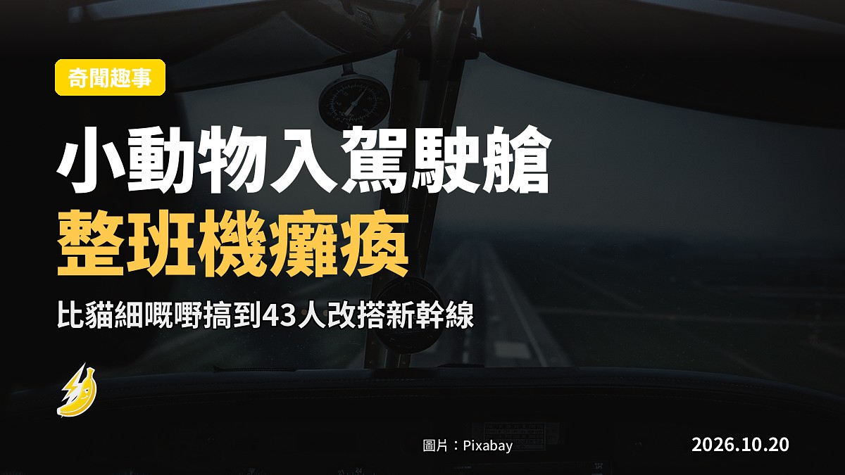 飛機腳邊驚現「小動物」下落不明 日航一機急喊卡 43名乘客改搭新幹線