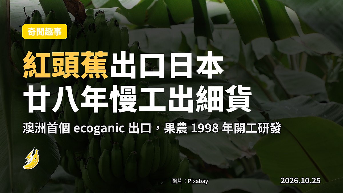 紅頭蕉出埠：澳洲果農 Frank Sciacca 廿八年研究，生態栽培首創出口