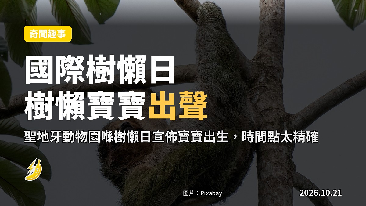 國際樹懶日剛好有樹懶寶寶出生，聖地牙動物園迎新聞