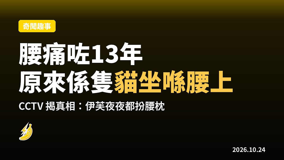 腰痛咗13年，原來係隻貓每晚都坐喺我腰上
