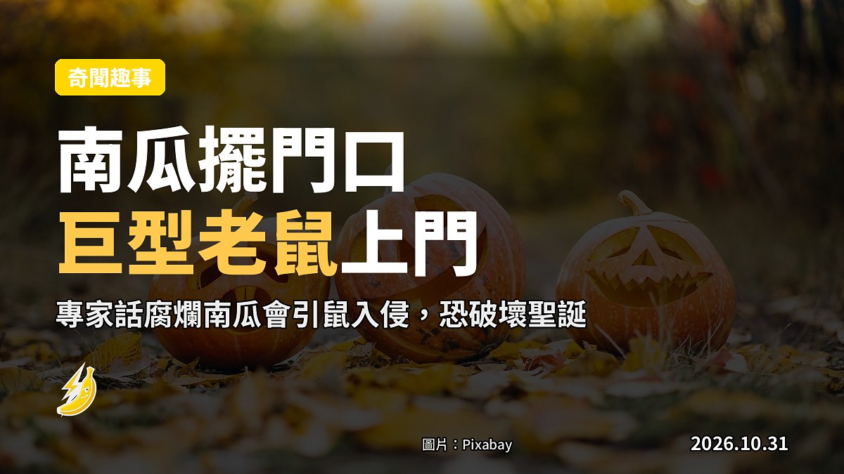 英國專家警告：擺門口嘅萬聖節南瓜會引巨型老鼠上門