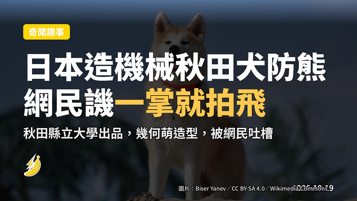 日本造「機械秋田犬」防熊 造型太萌被網民譏一掌就拍飛