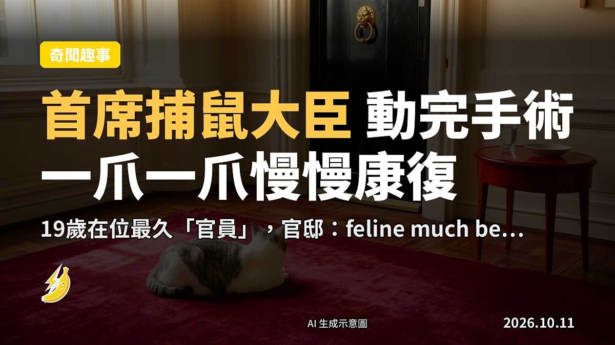 唐寧街10號外牆，門口有隻灰色短毛貓坐喺石阶上