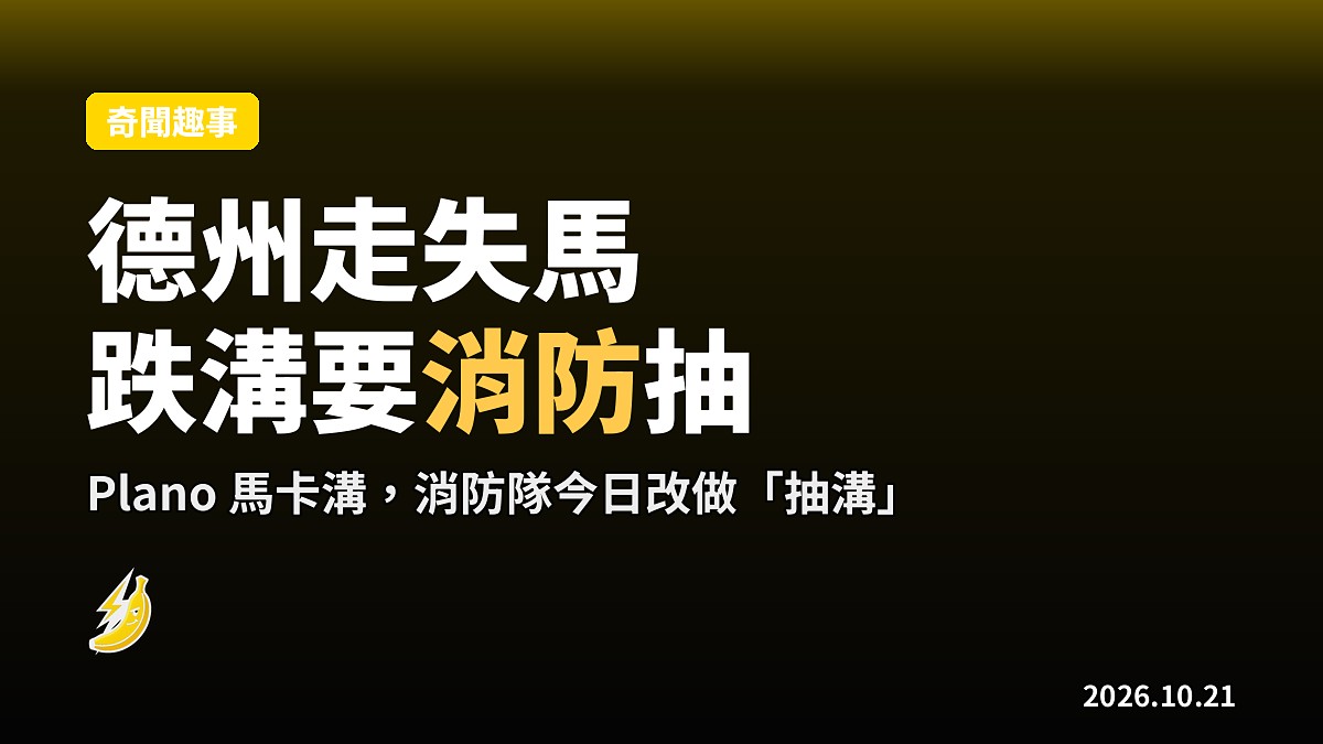德州公路邊走失馬跌入排水溝，消防員出動救升
