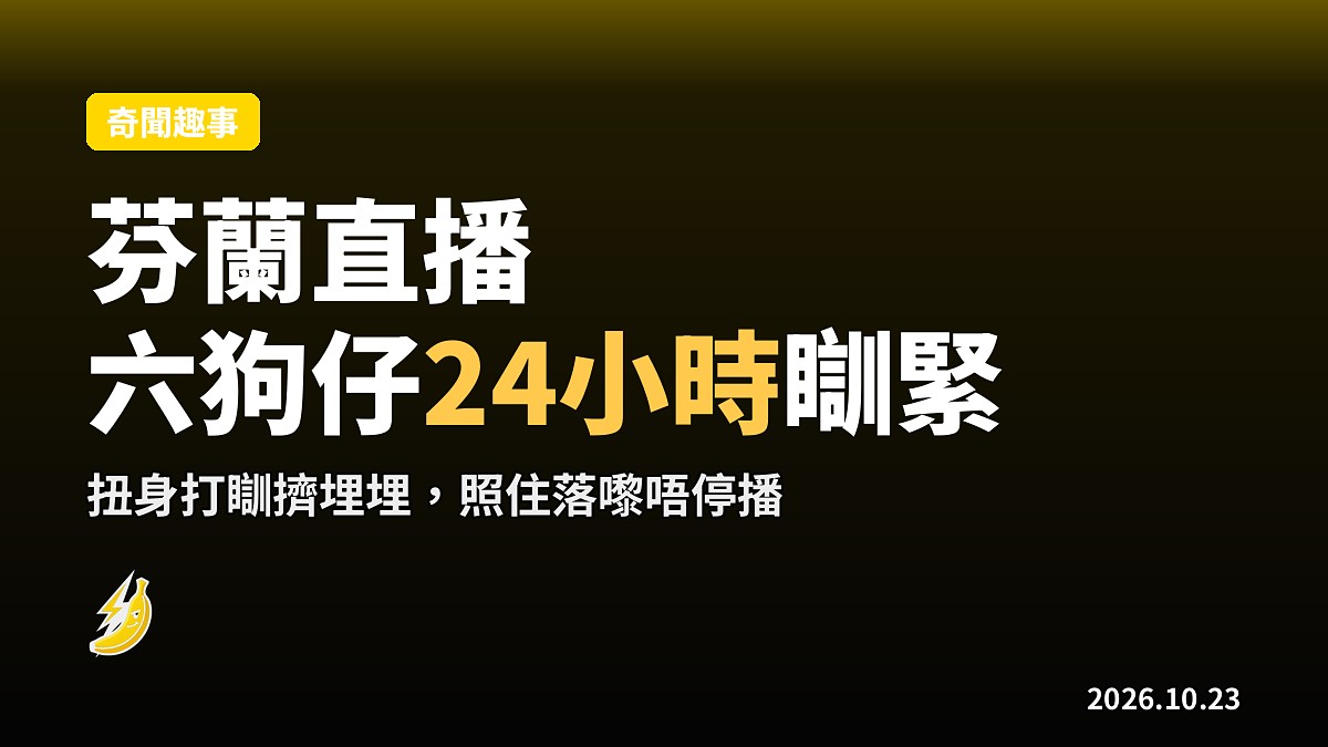 芬蘭直播頻道開住六隻初生狗仔24小時喺度打瞓扭身