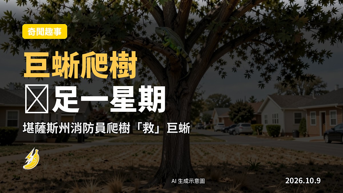 一隻巨蜥喺堪薩斯州一棵高樹上（示意圖）