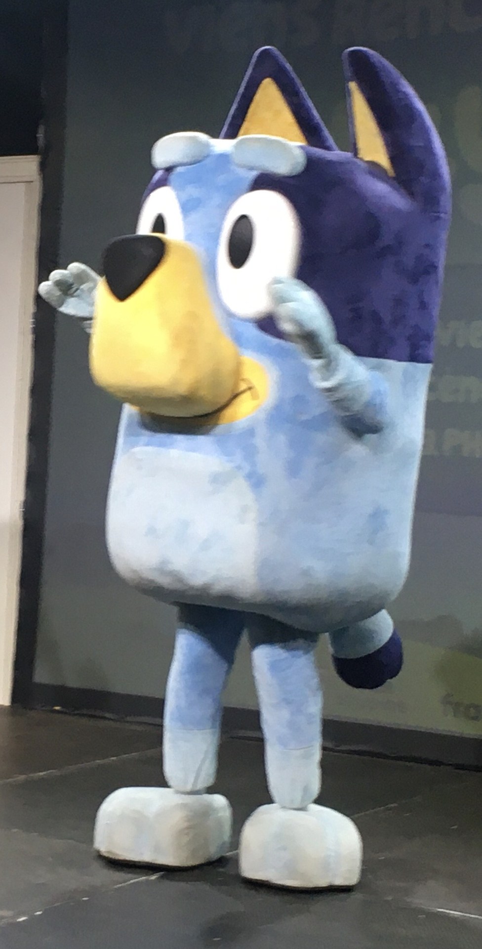 Bluey 被極右黨拿來撞政客 ABC 發函制止
