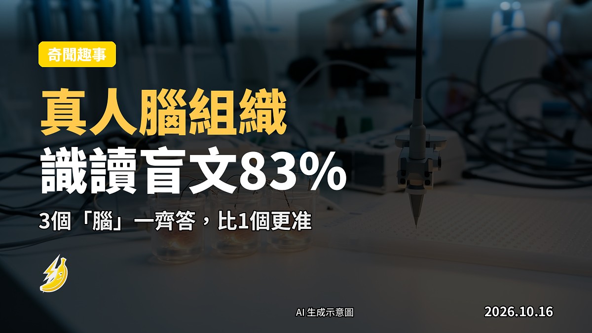 示意圖:實驗室環境中嘅神經組織類器官置於微電極陣列上,以電訊號刺激識別盲文。