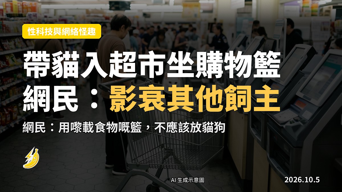 一隻白貓着住黑色胸背帶，坐喺購物車嘅購物籃入面，神情淡定