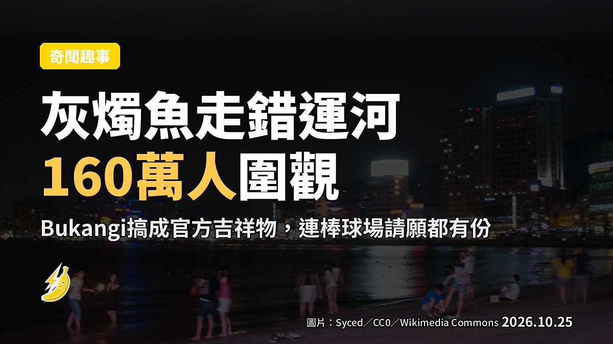 一條灰燭魚走錯入釜山運河,全韓國160萬人搶到運河睇佢