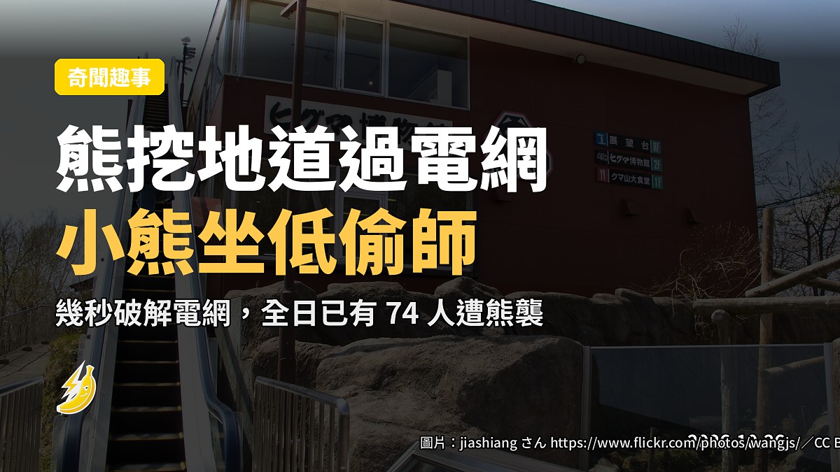 北海道熊挖地道破解電網 小熊坐低偷師學識