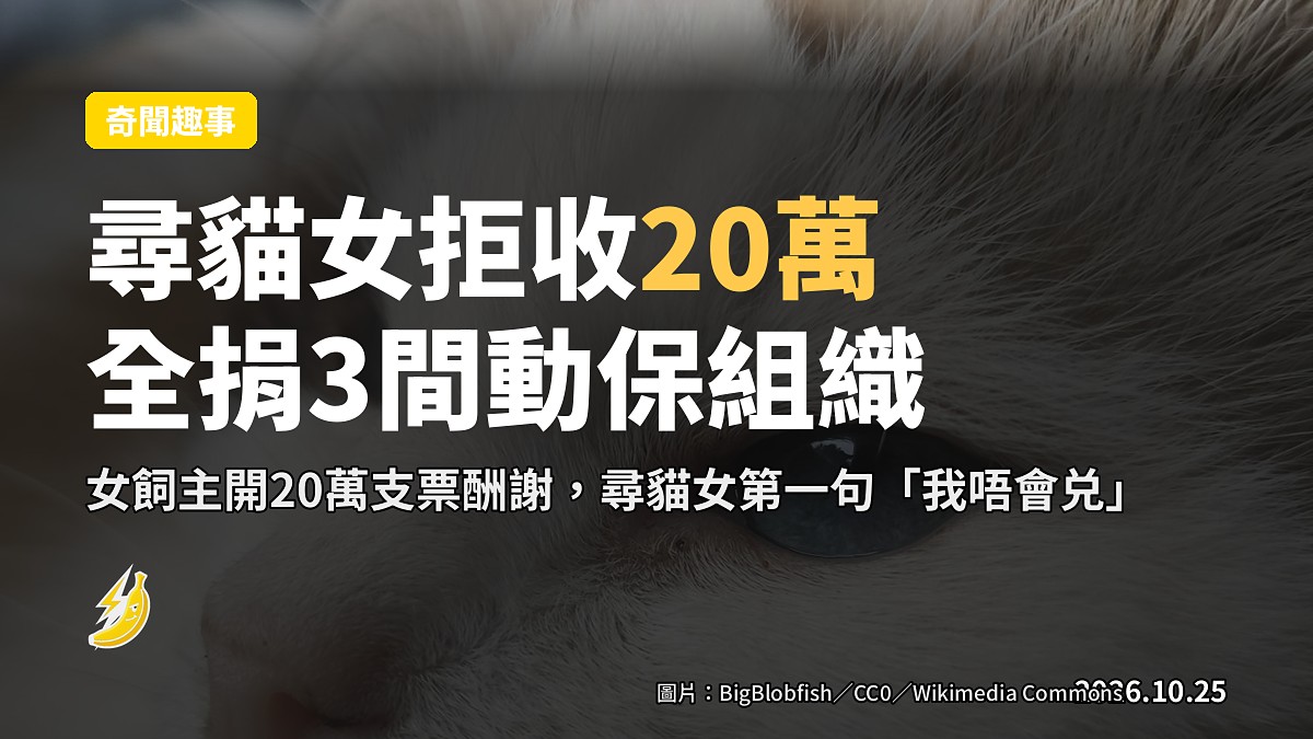流浮山尋獲嘅走失布偶貓(示意)