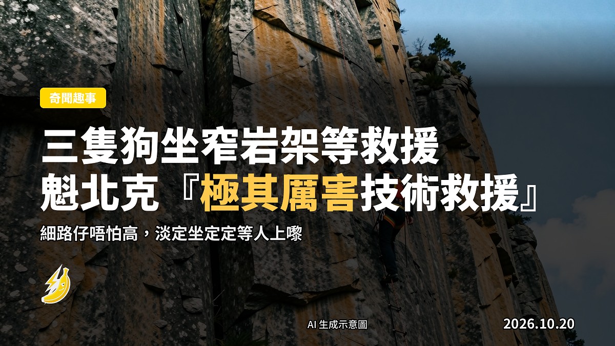 三隻狗坐喺窄窄岩石架上等救援,救援隊用全套技術裝備完成救援(示意)