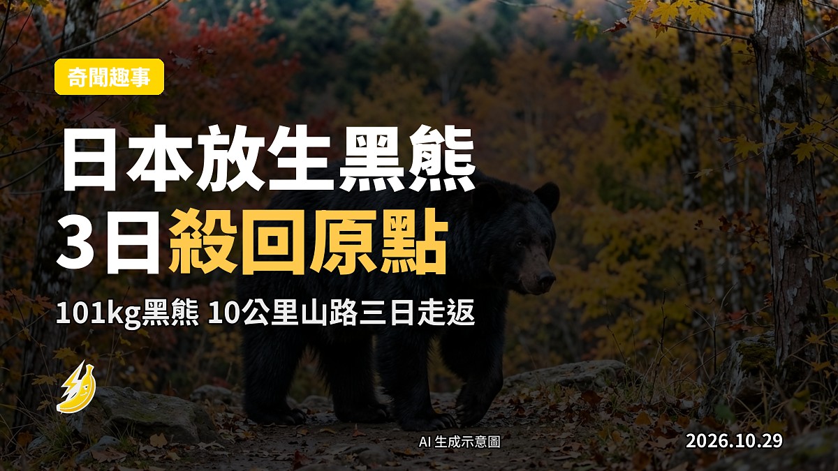 黑熊沿山脊線行走(示意圖)