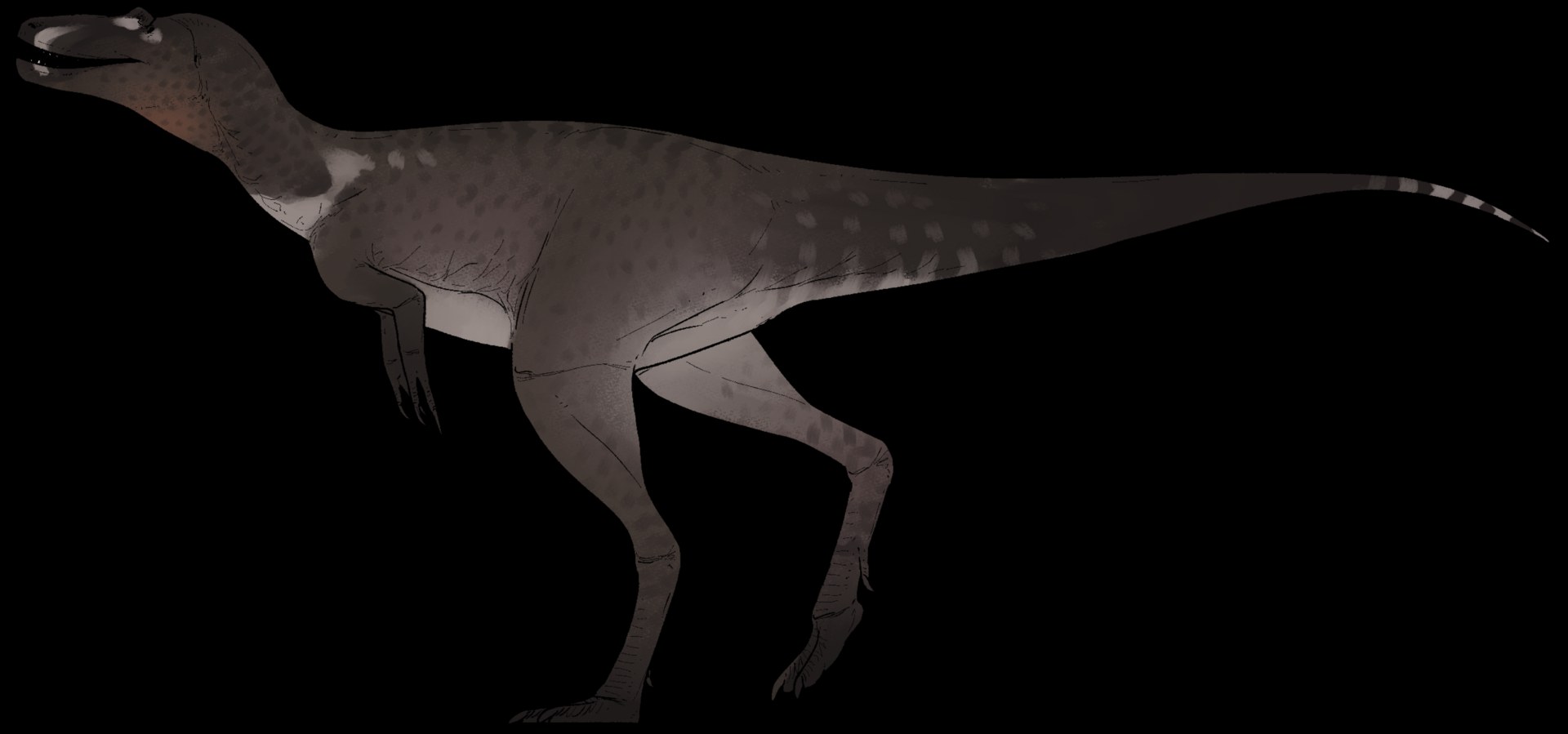 細個 T.rex 拍咗 $47.3M：Nanotyrannus「Jodi」成全球第二貴恐龍骨