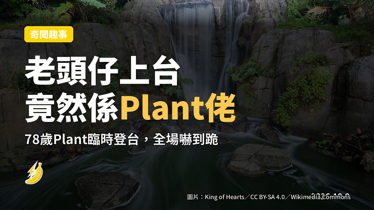 舊金山金門公園嘅大型免費露天音樂節現場，舞台前有大批觀眾，無可辨識面孔