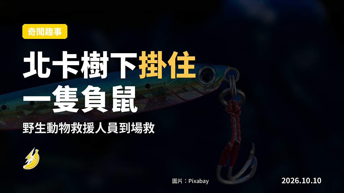 示意圖：樹枝上纏住嘅釣魚鉤