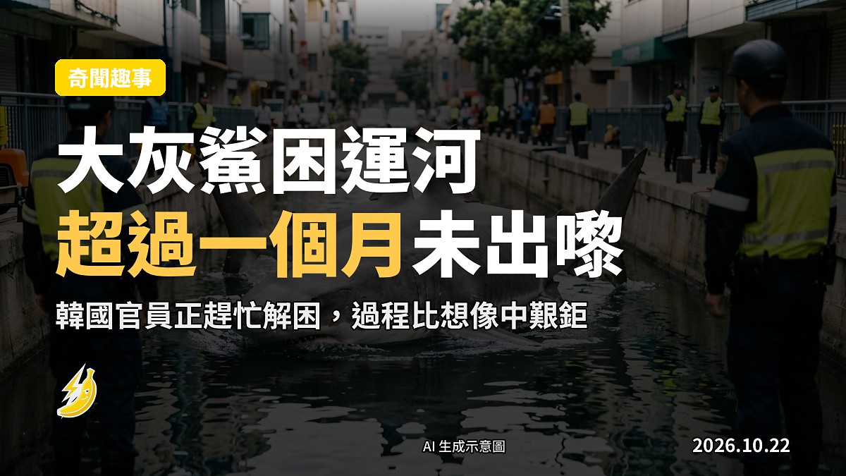 示意圖:一隻大灰鯊困喺運河入面