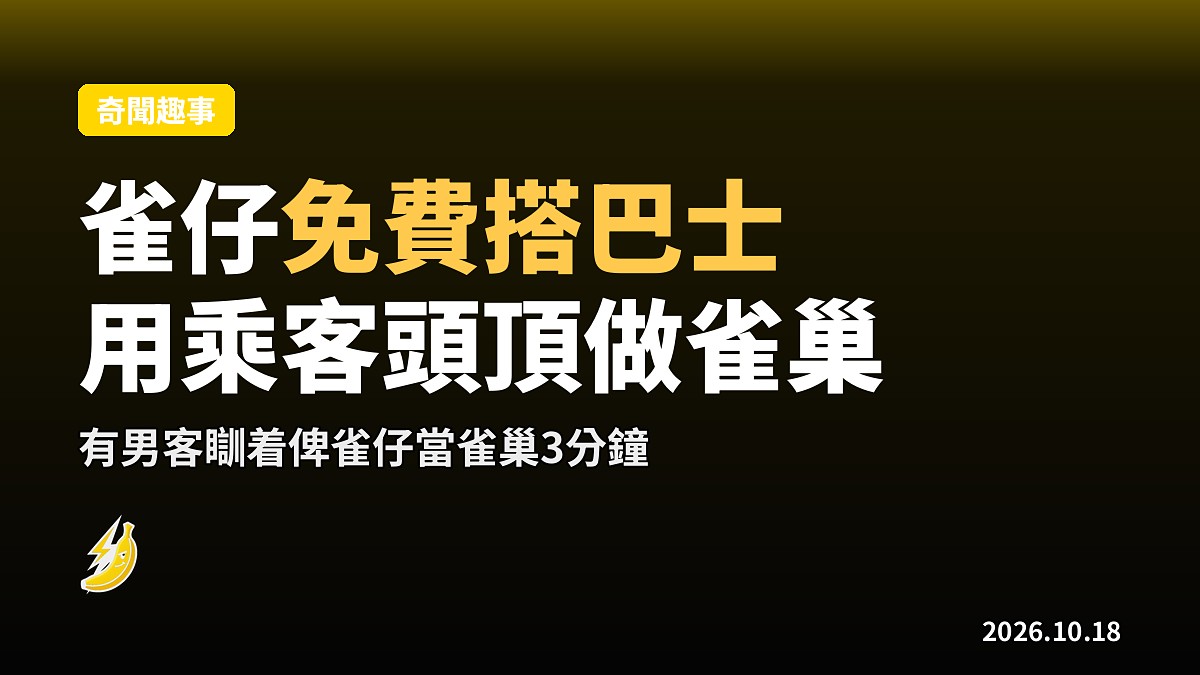 雀仔免費搭巴士?飛入車廂乘客頭髮當雀巢 落車先畀人捉咗放生