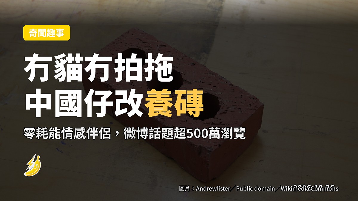 沒錢養貓沒錢拍拖，中國年輕人改「養磚」：零耗能情感伴侶