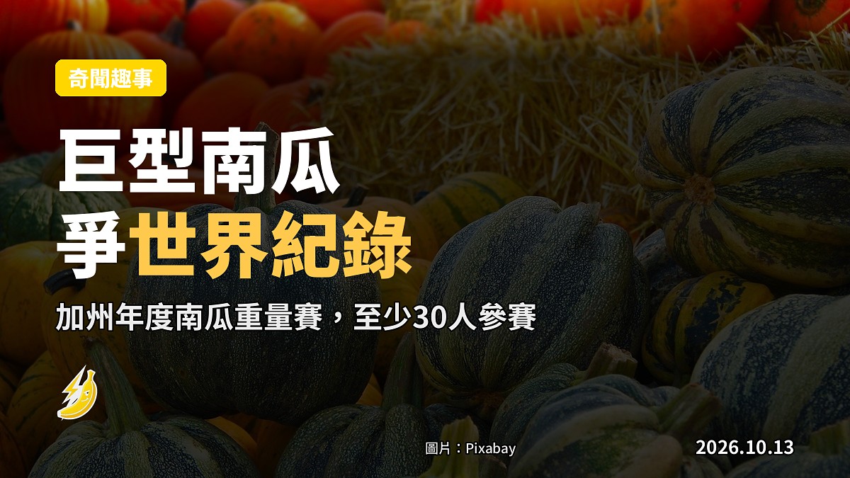 加州農場巨型南瓜重量大賽現場