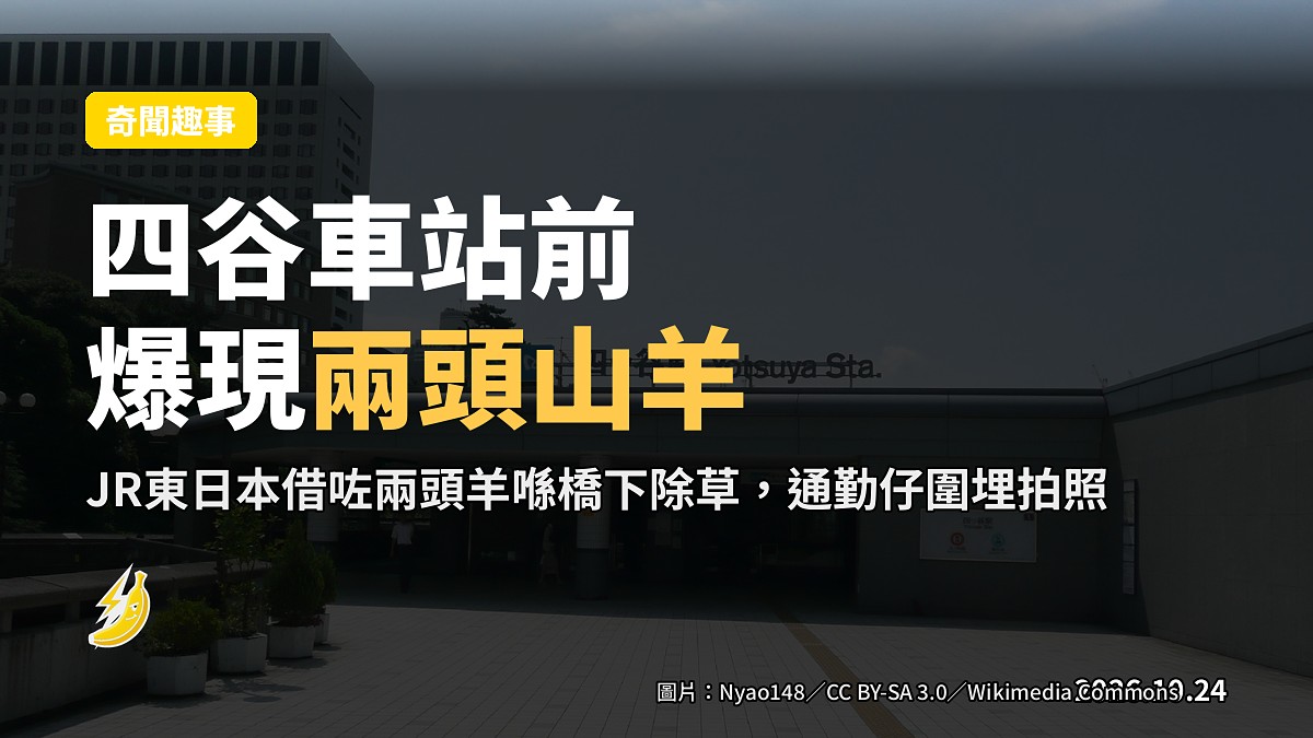 東京新宿區四谷車站前，兩頭山羊喺高架橋下空地食草，市民圍觀拍照