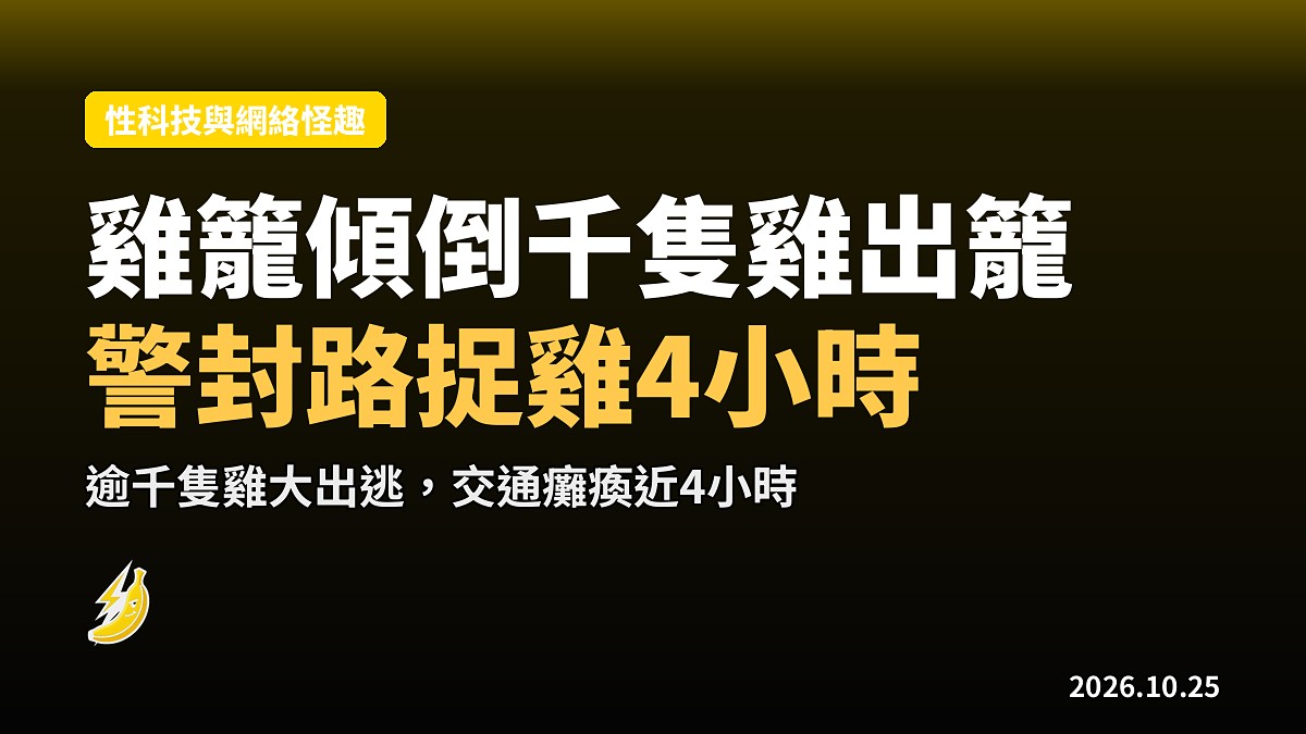 日本運雞車雞籠傾倒,逾千隻雞衝出馬路封路4小時