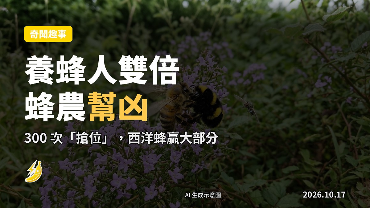 示意圖:多隻不同品種蜂喺常春藤花附近,顯示研究觀察嘅訪花情況