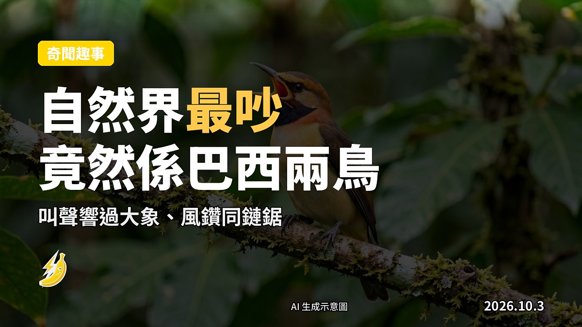 巴西雨林入面開口叫嘅裸喉鐘鳥（示意圖）