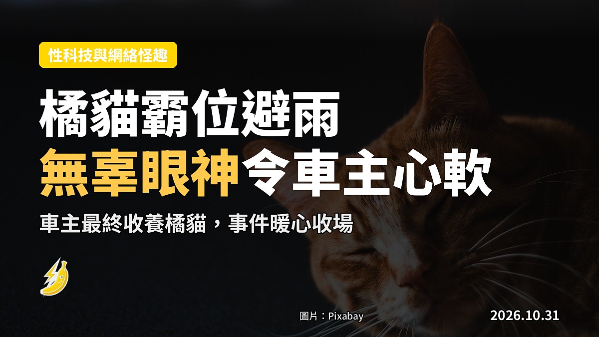 雨天掀開電單車雨罩，驚見橘貓霸佔腳踏板避雨，無辜眼神令車主心軟收留