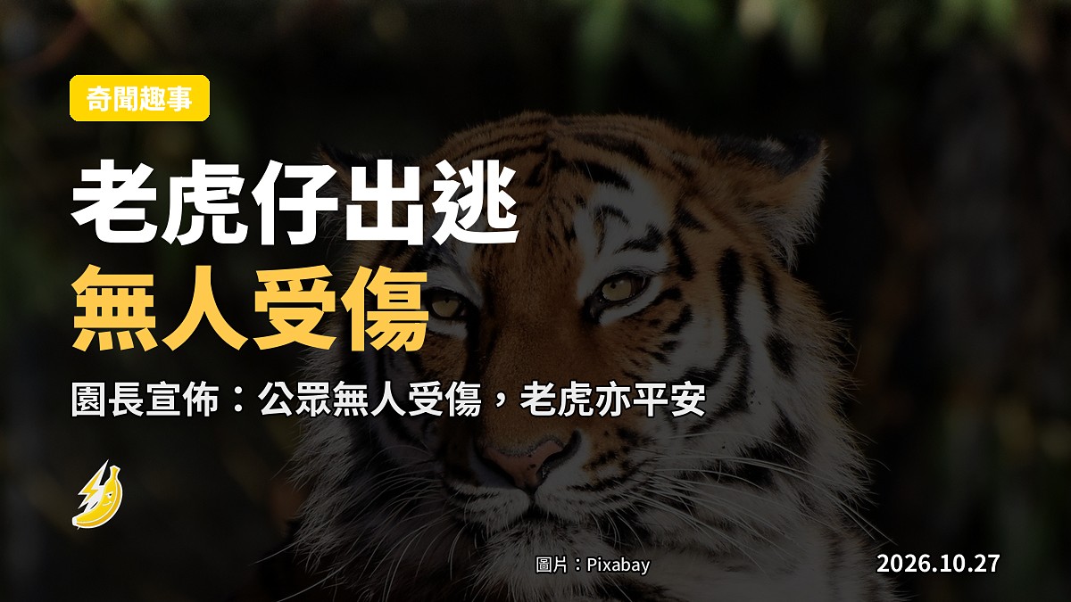 示意圖:老虎仔溜出圍欄
