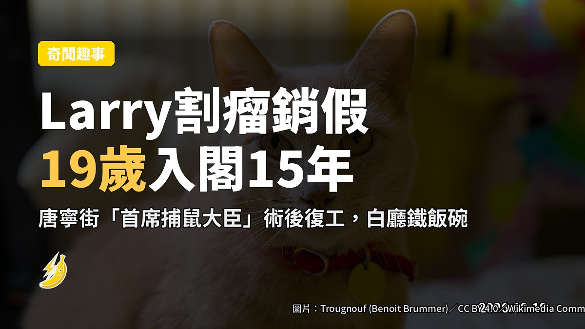 唐寧街10號門階上，一隻白貓面對鏡頭趴伏，背後為18世紀古典建築。
