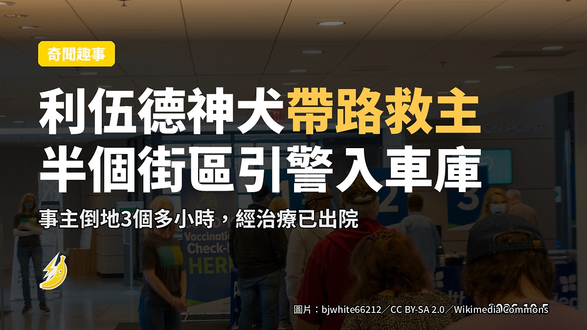 示意圖：堪薩斯州利伍德街道，一隻拴緊狗繩嘅狗喺行人路行走，背景有警車同車房。